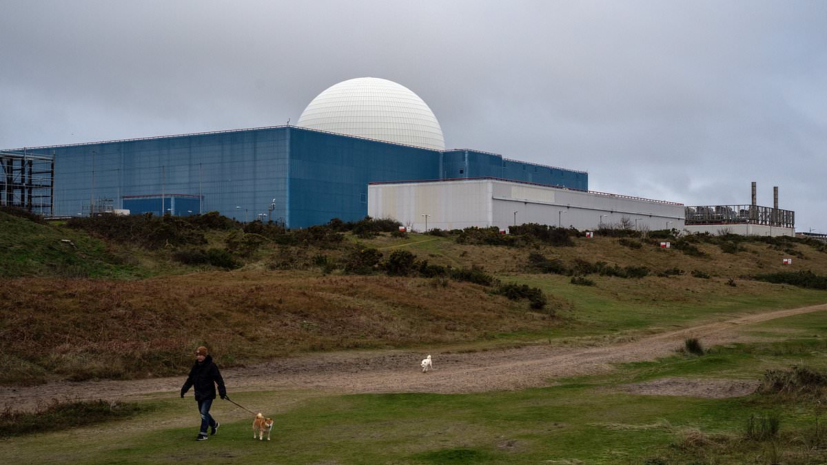 UK government and EDF extend Sizewell B nuclear plant's life by 20 years to boost low-carbon electricity.