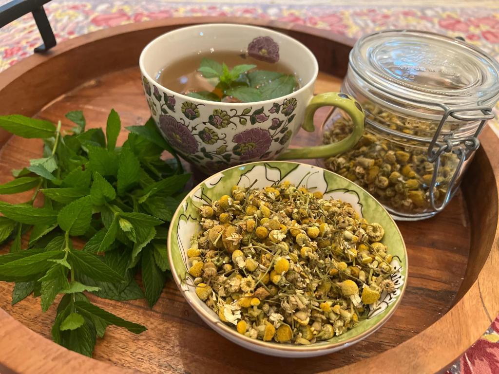 Discover How Easy It Is to Grow Your Own Soothing Herbal Tea at Home