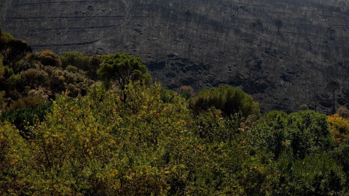 Bomberos continúan lucha contra la peligrosa reactivación del incendio en Embalse de San Juan.