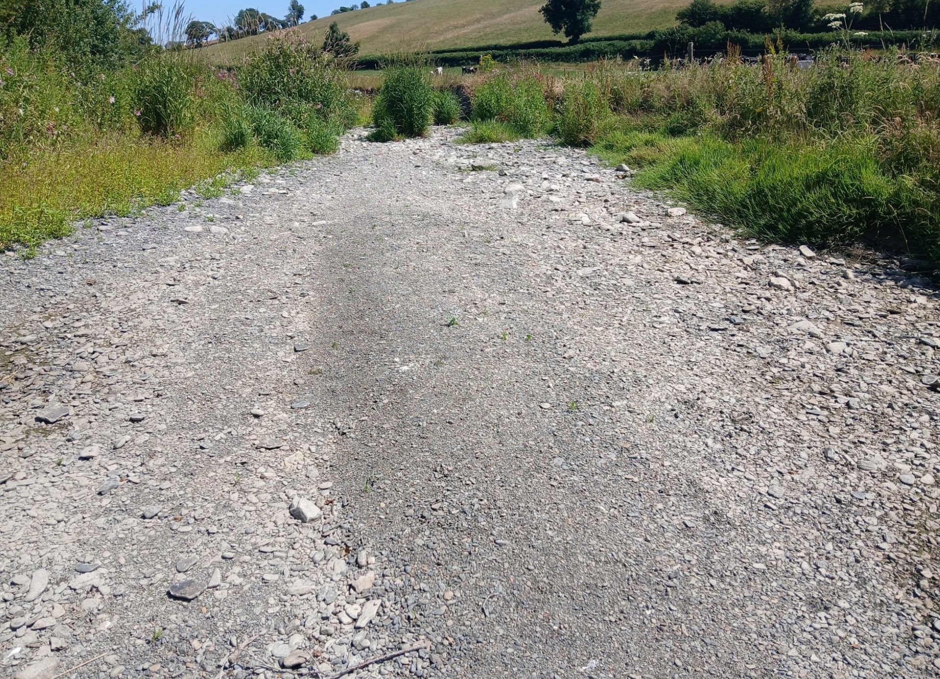 North Wales declares first UK drought amid record dry spell and rising wildfire risk.
