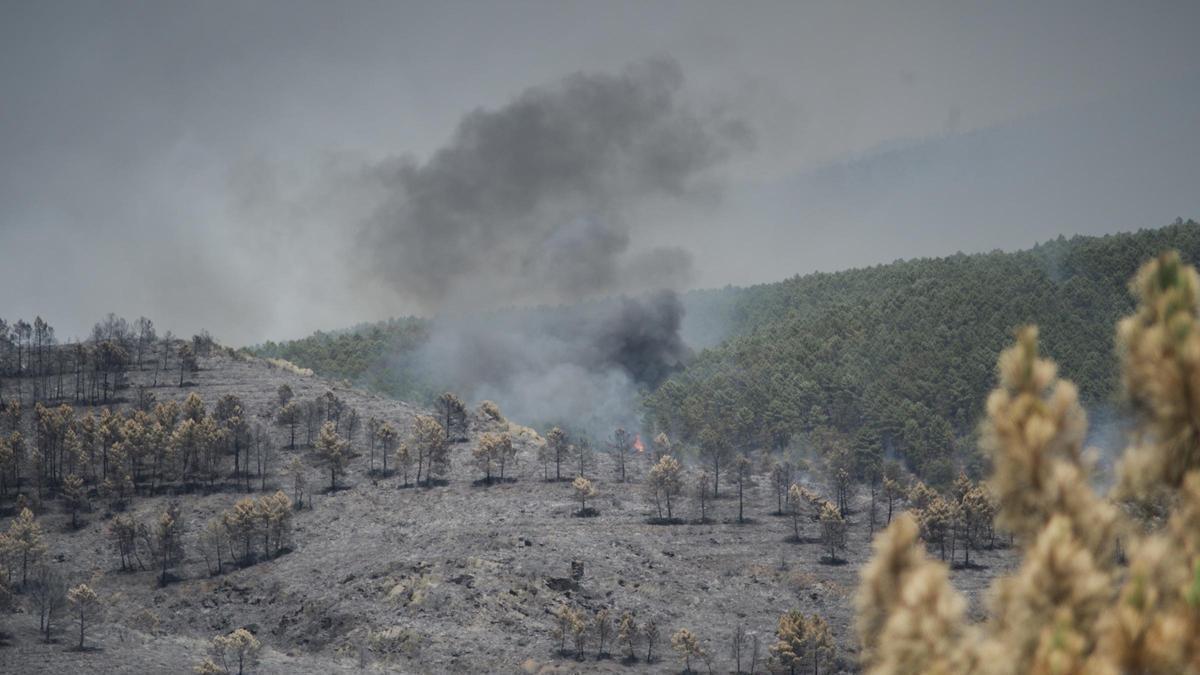 Uncontrolled La Mierla wildfire forces evacuation of 100 minors from Guadalajara camp.