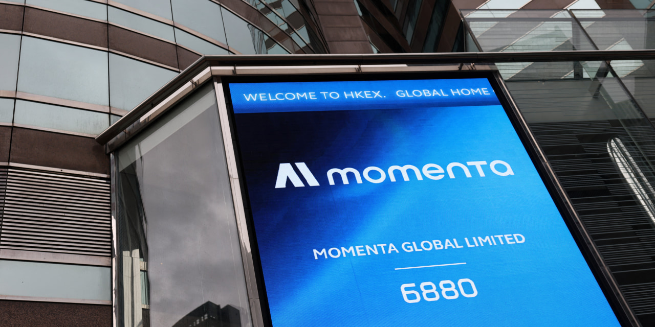 Momenta's Hong Kong IPO Debuts Flat Amid AI Sector Caution Despite Strong Investor Demand
