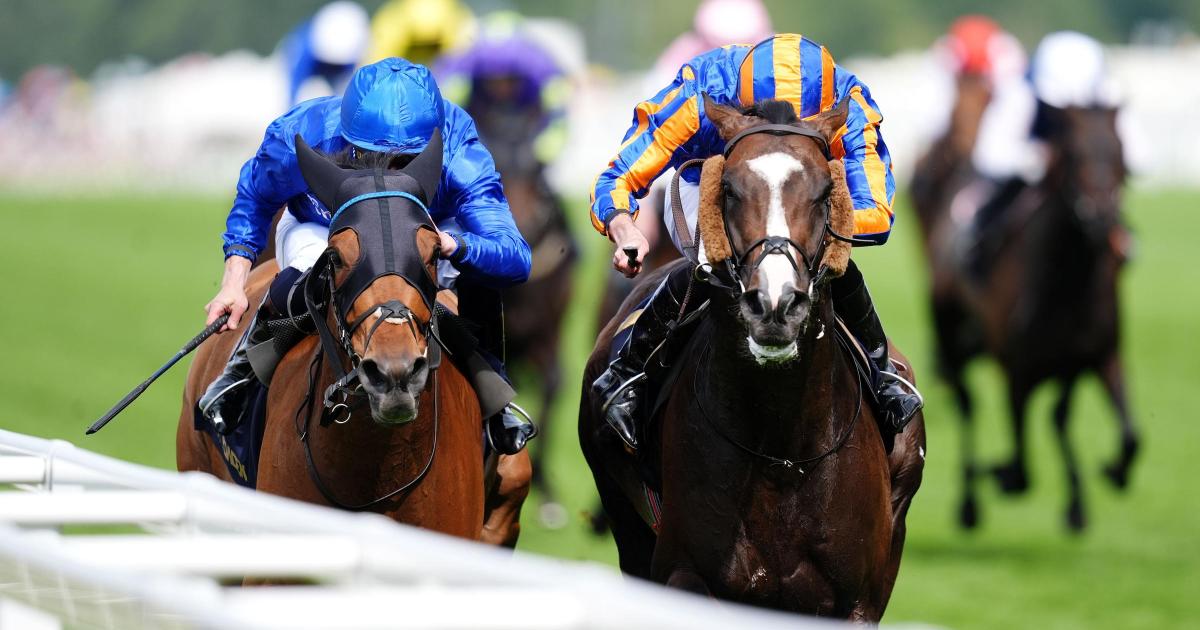 Scandinavia and Trawlerman Set for Goodwood Cup Rematch After Ascot Gold Cup Rivalry