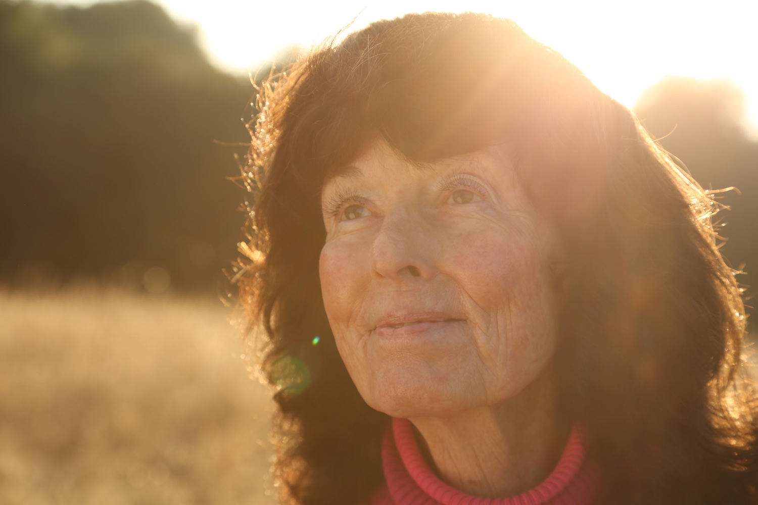 Friends seek public help locating legendary singer Linda Perhacs after eight months missing from care.