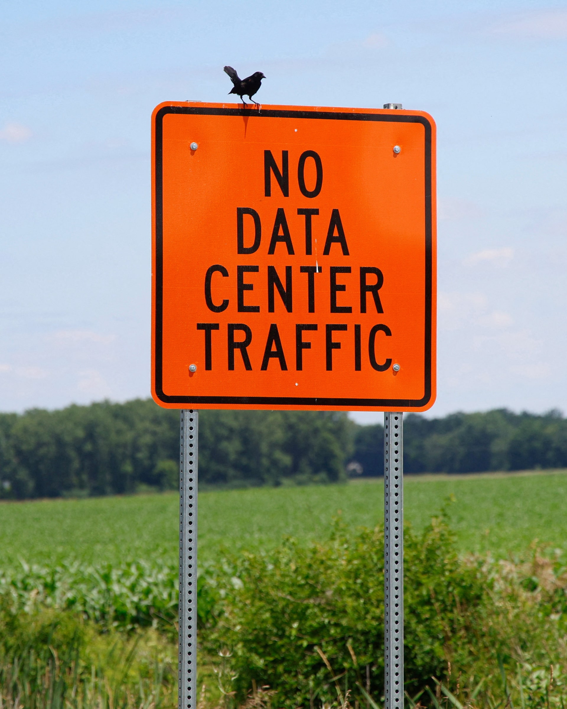 Public Anger Over Data Centers Unites Divided Americans, Pressuring Politicians Across Ideological Lines