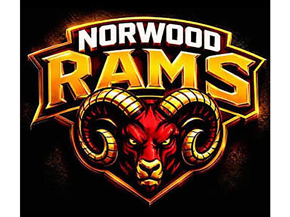 Norwood Rams Bring Senior Hockey Back to Community, Joining NPHL with Local Pride Focus.