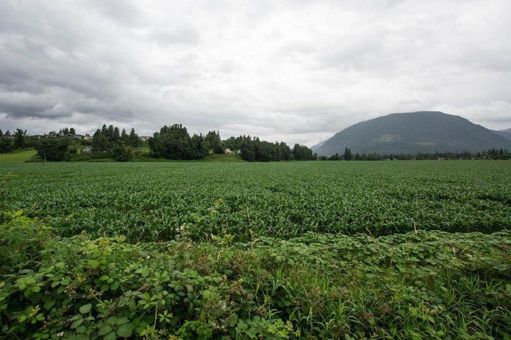 B.C. Begins Public Engagement on ALR Amendments to Expand Food Processing Facilities