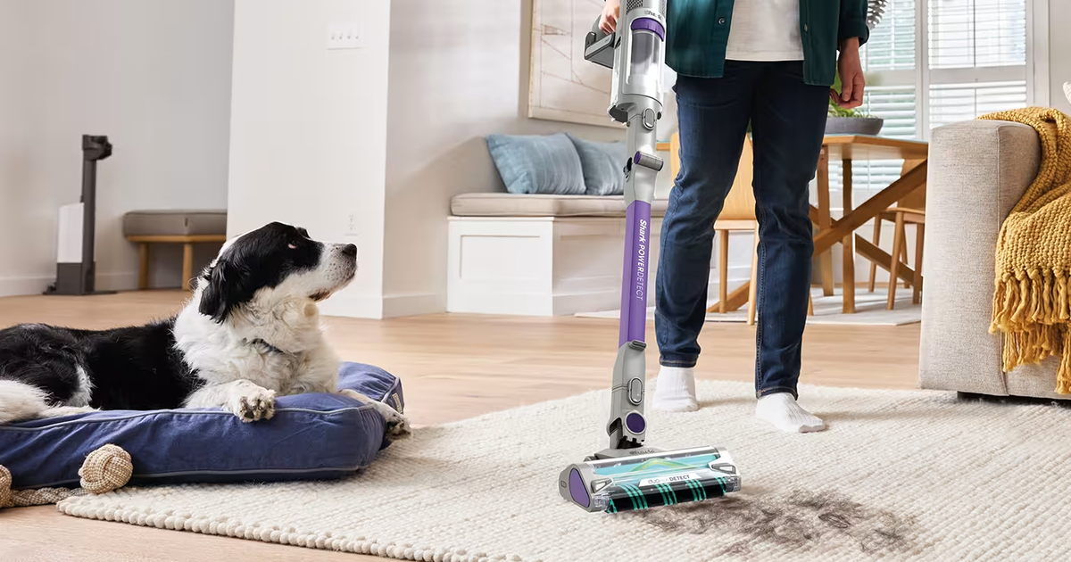 Shark PowerDetect Cordless Pet Vacuum slashed by £200, promises fresher carpets for pet owners.