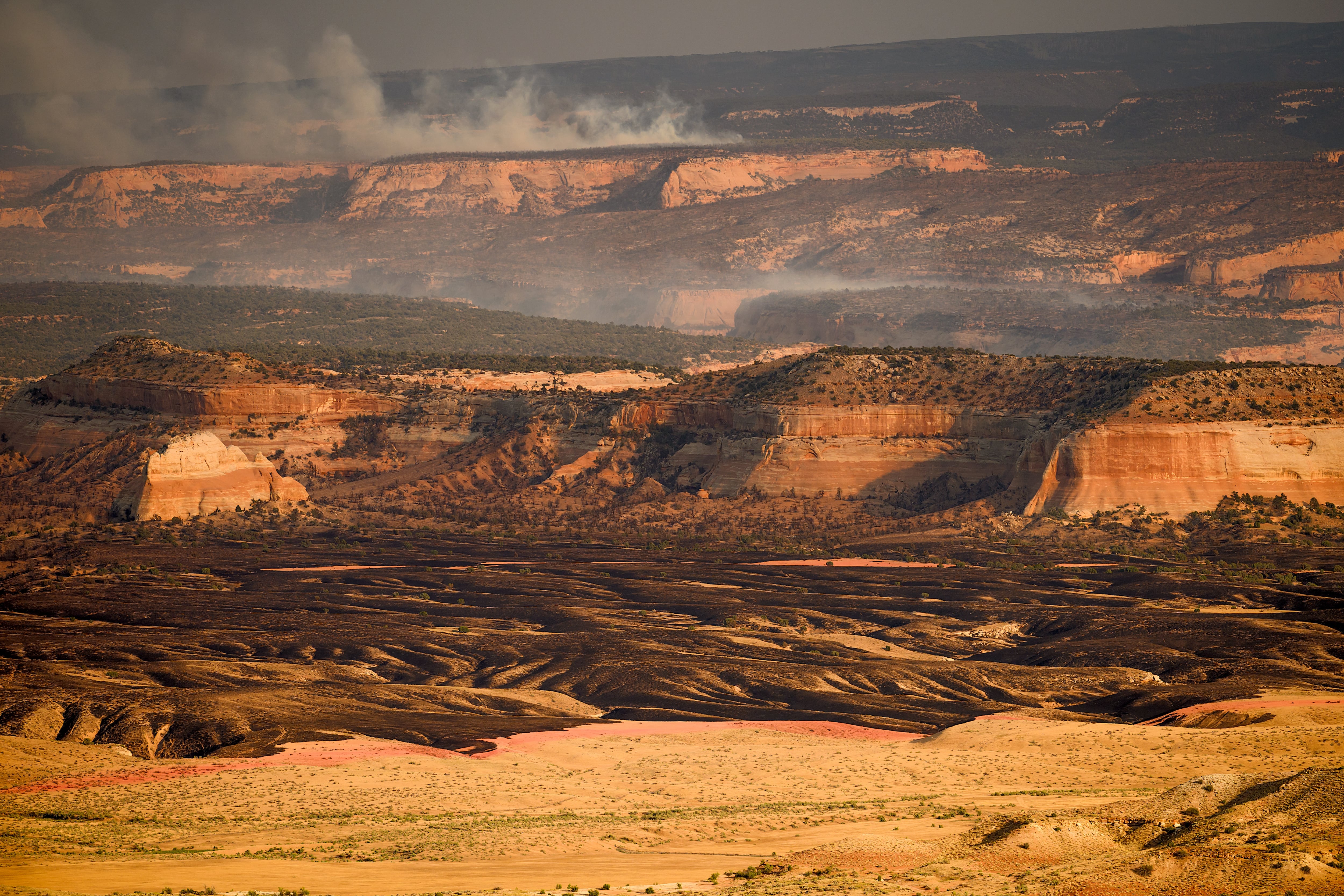 Fourth Firefighter Dies From Burns After Western Colorado Wildfire
