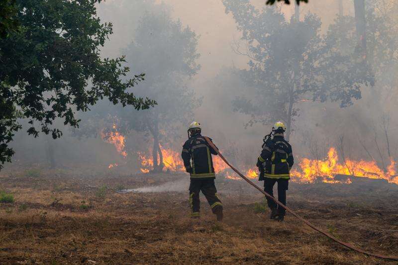 Massive Wildfire Forces Evacuations in Bordeaux Suburbs as Blazes Sweep Europe