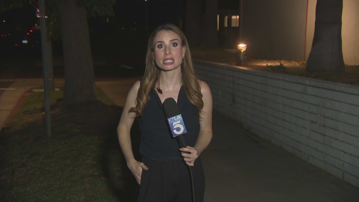 Unflappable KTLA Reporter Continues Live Report Despite Cockroach Crawling on Her Body