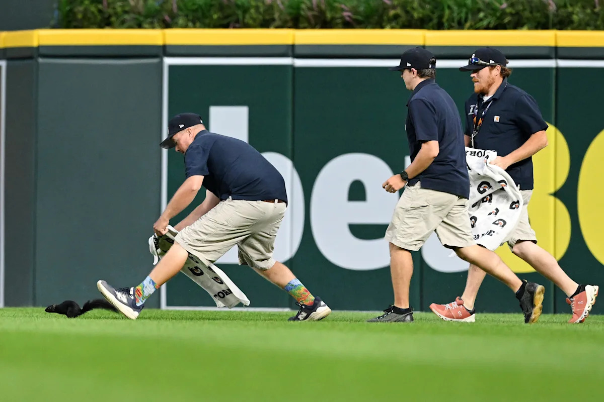Black Squirrel Halts Tigers-Orioles Game, Sparks Grounds Crew Chase and Cheers at Comerica Park