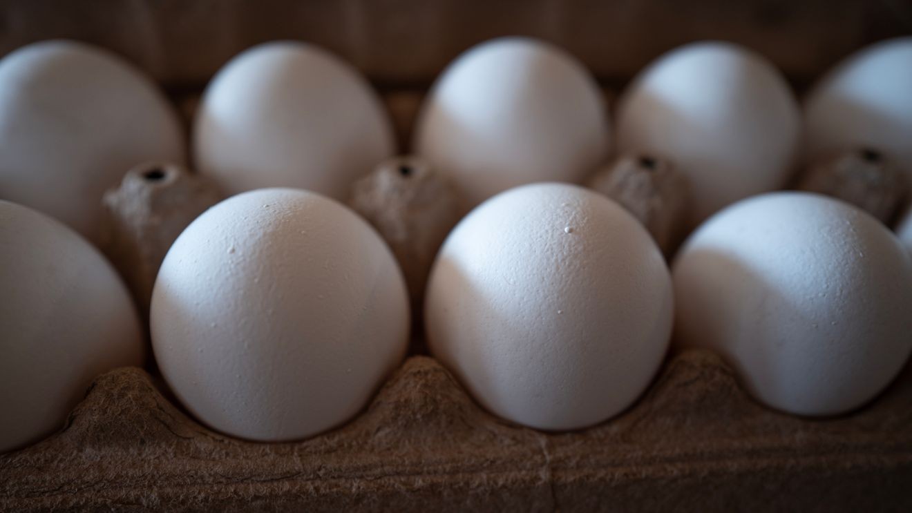 Consumers Urged to Check Fridges as 1.6 Million Dozen Eggs Recalled Over Salmonella