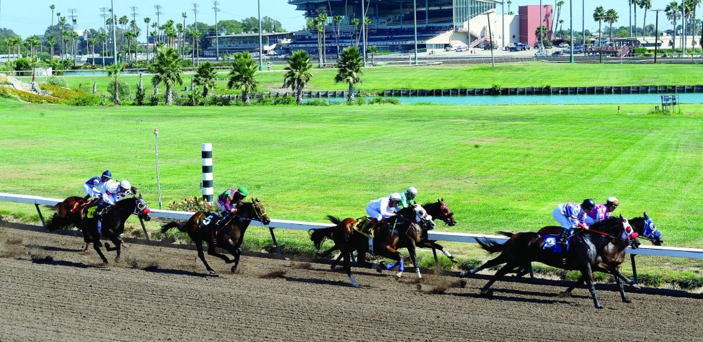 Expert Handicappers Share Consensus Picks for Los Alamitos Races on July 4, 2026.