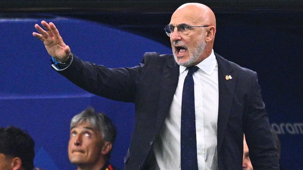 De la Fuente calls Spanish World Cup champions 'an example for Spain'