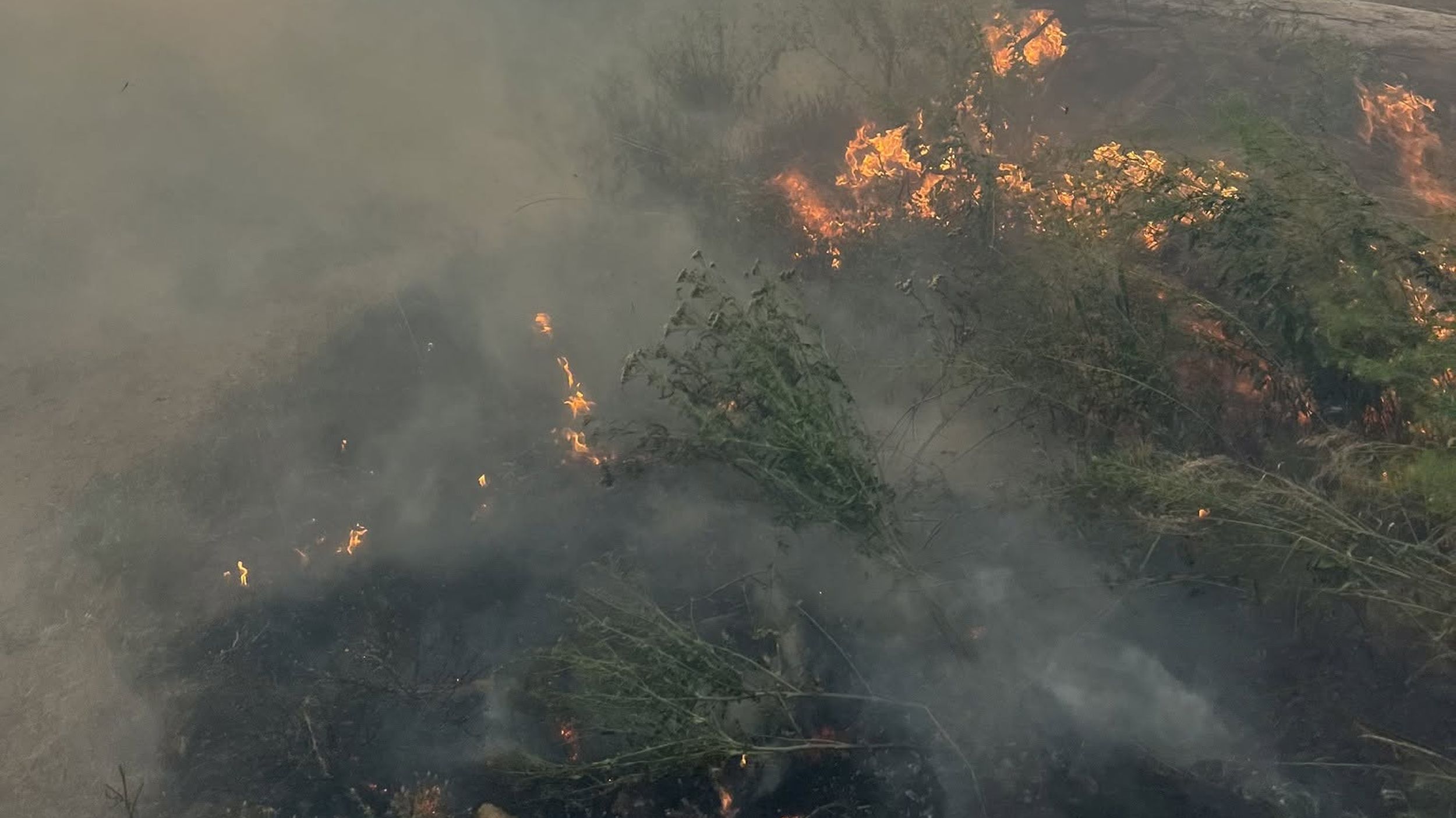 Douglas County offers $25,000 reward for information on deadly Chelan wildfire