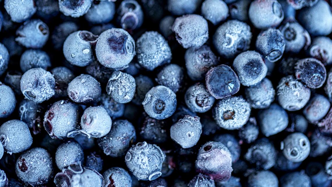 Twelve sickened with E. coli from frozen blueberries sold at Publix stores.