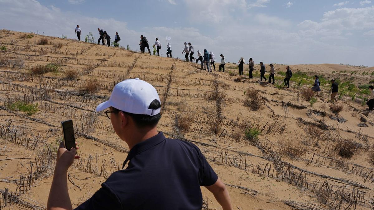 China's Decades-Long Reforestation Effort: Reversing Desertification Across an Area the Size of Spain