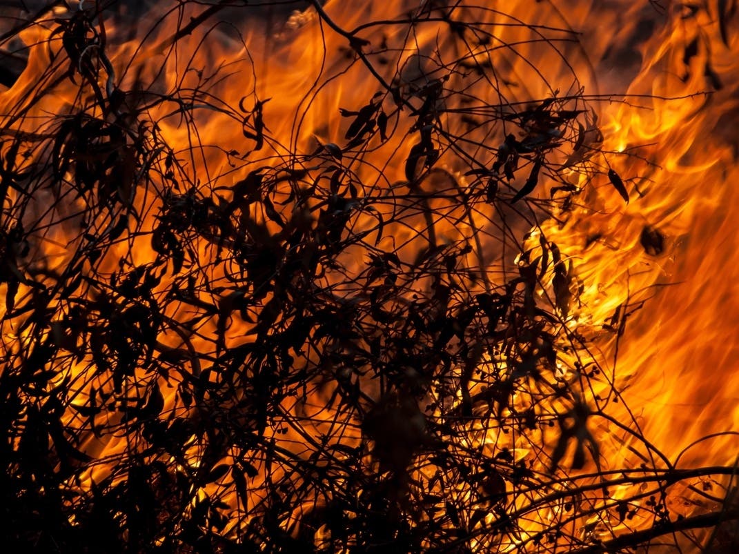 Santa Clarita's Pointe Fire Expands, Forces Evacuations Amidst Intense Heat