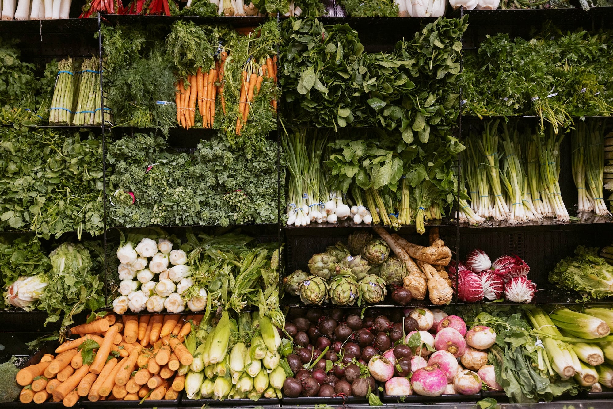 NYC Plans Five City-Owned Grocery Stores Offering 30% Discounts to Boost Affordability