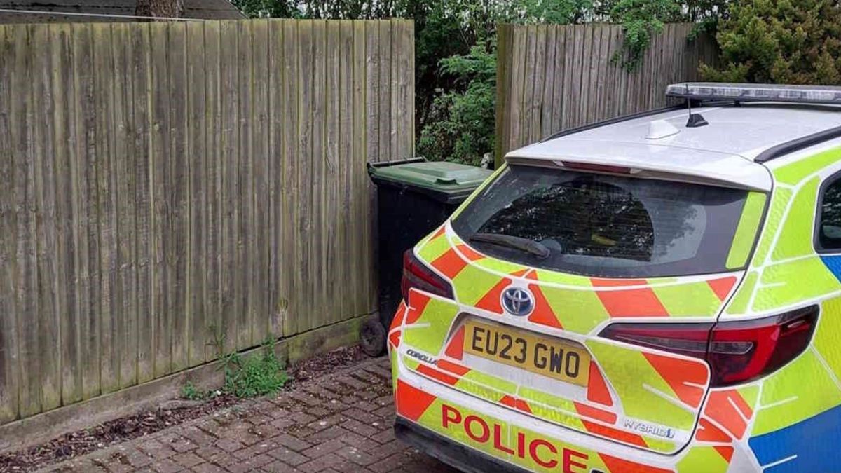 Harlow Woman Charged with Murder of Infant Daughter; Police Appeal for Public Information