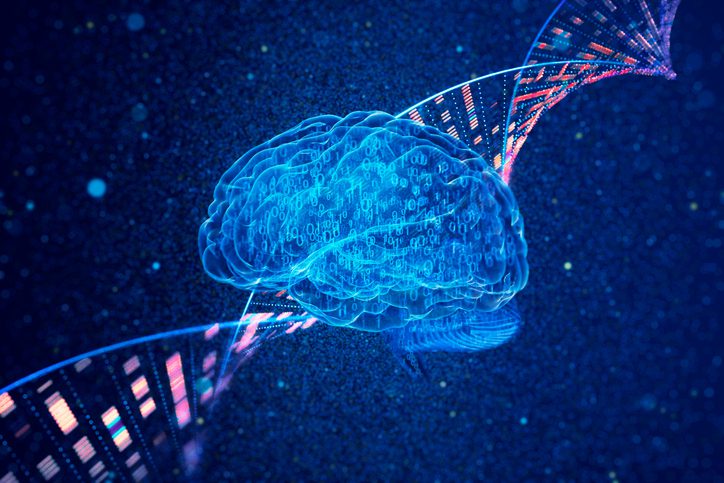 Researchers Map How 3D Genome Architecture Changes in Alzheimer's Brains
