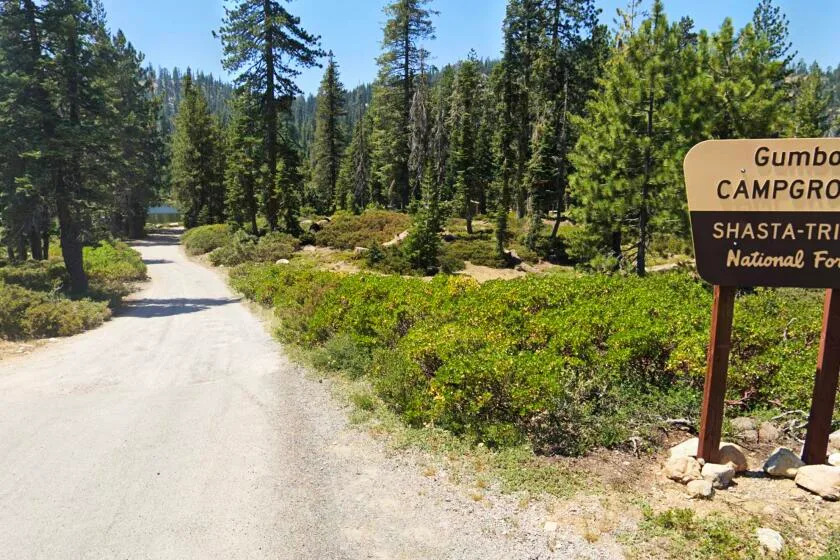 California Forest Service Workers Rescued After Overnight Kidnapping Standoff; Father, Son Arrested