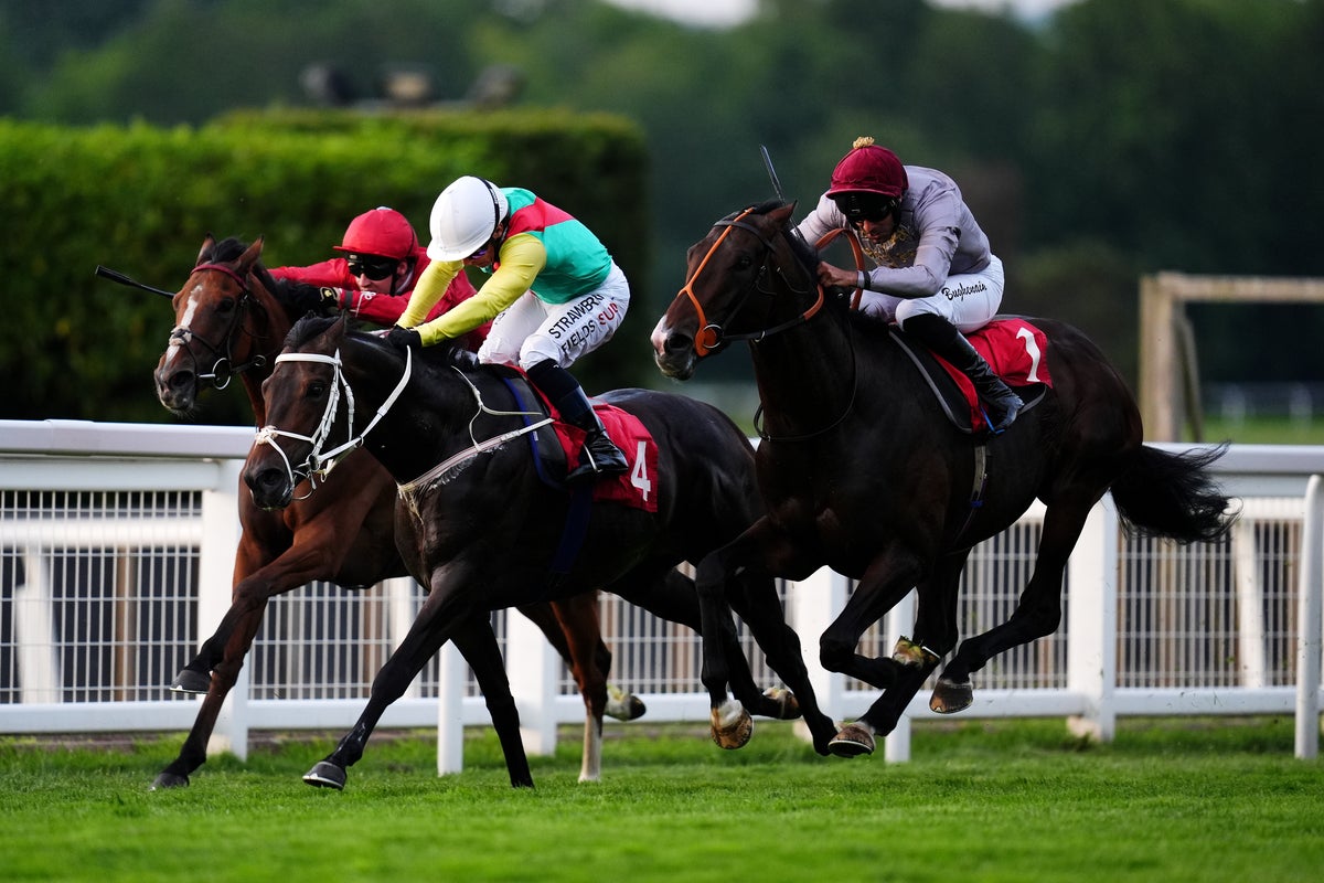 Expert Selections and Betting Market Insights for Chepstow, Sandown Racecards