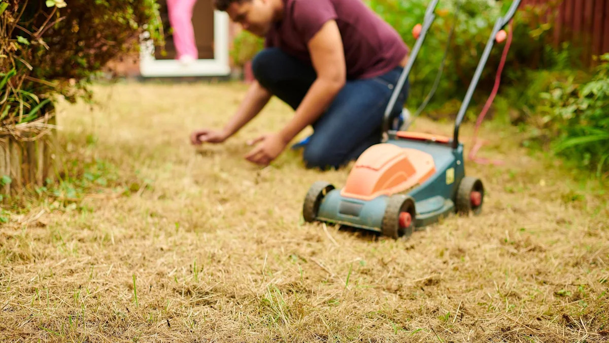 UK Gardens Can Recover After Heatwaves, Experts Confirm Lawns Are Not Dead