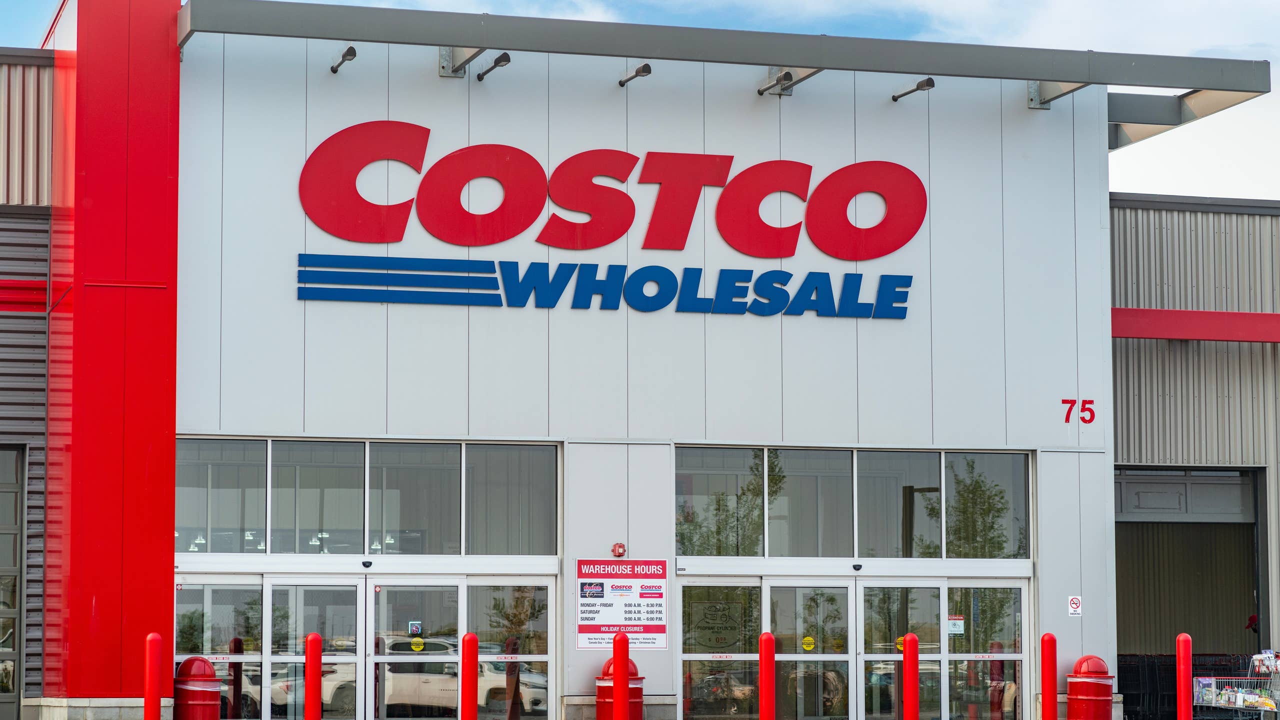 Costco Debuts Friends Forever Pet Bed, Providing Dogs a Cozy and Easy-to-Clean Sleeping Sanctuary