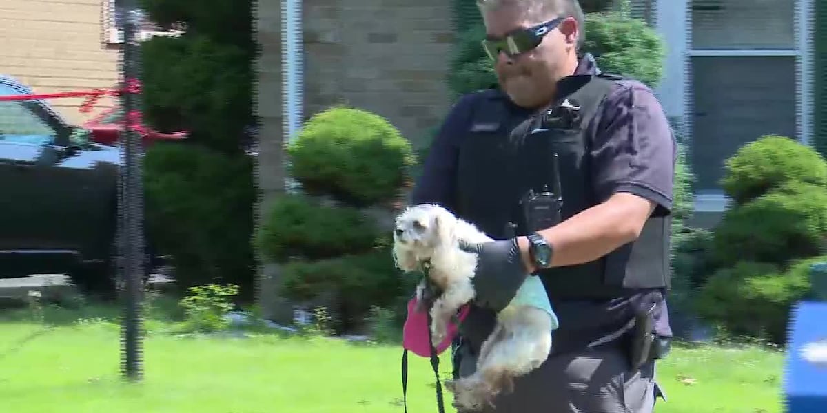 Police Investigate Fatal Shooting of Two People, Dog Found Inside Home Near Chicago