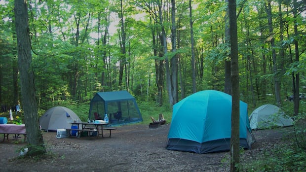 Discover free camping options on Ontario's Crown land this summer amidst booked provincial parks.