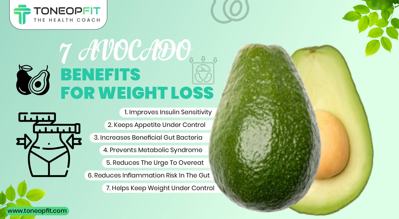 New Research Links Daily Avocado Intake to Weight Loss and Improved Blood Sugar