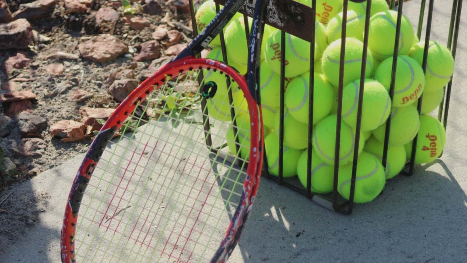 Women's Tennis Association to Require Genetic Gender Testing for Athlete Eligibility Starting in 2026