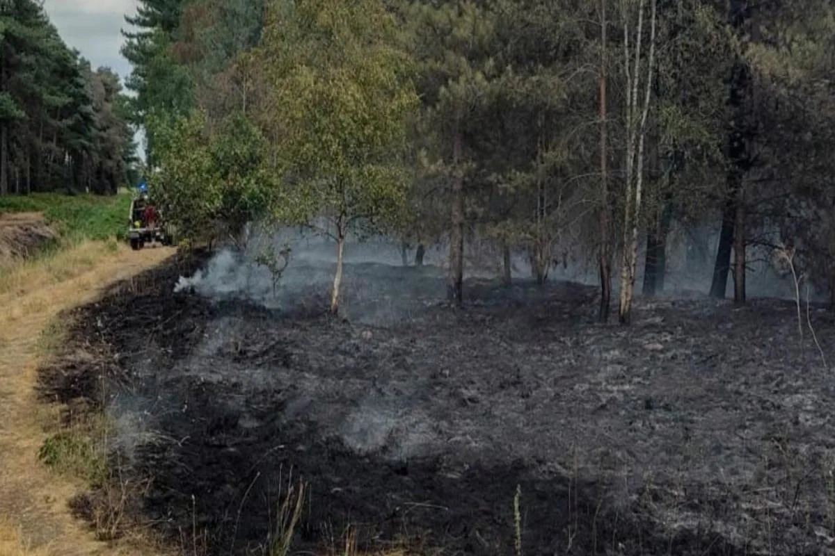 Dry, Hot Conditions Spark Multiple Wildfires Across UK, Straining Emergency Services