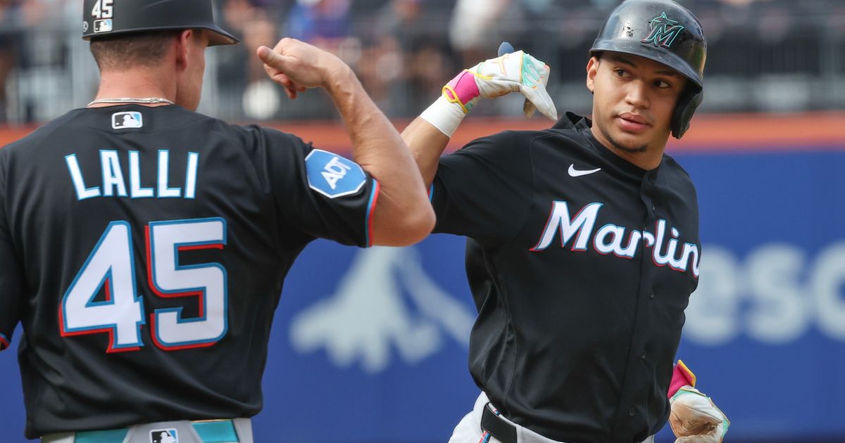 Sanoja, Conine Homers Power Marlins to 6-2 Victory Over Mets