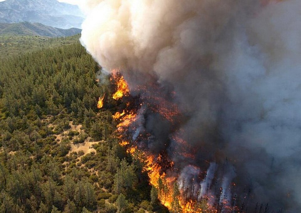 Calaveras County's Gann Fire Expands Rapidly, Triggering Mandatory Evacuations with 0% Containment