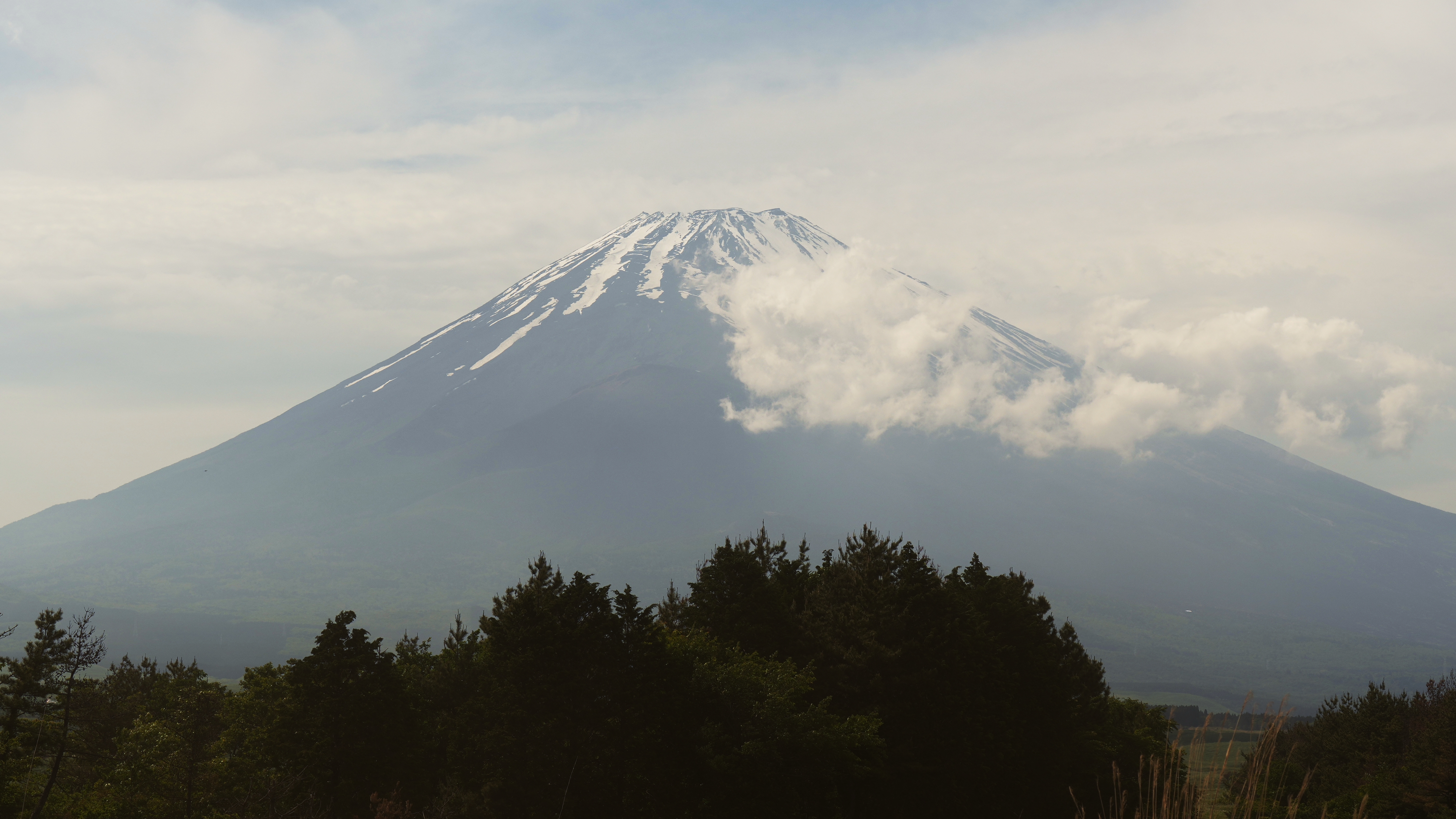 Seven-Year-Old Boy Found Unharmed After Father Abandons Him on Mount Fuji Hike