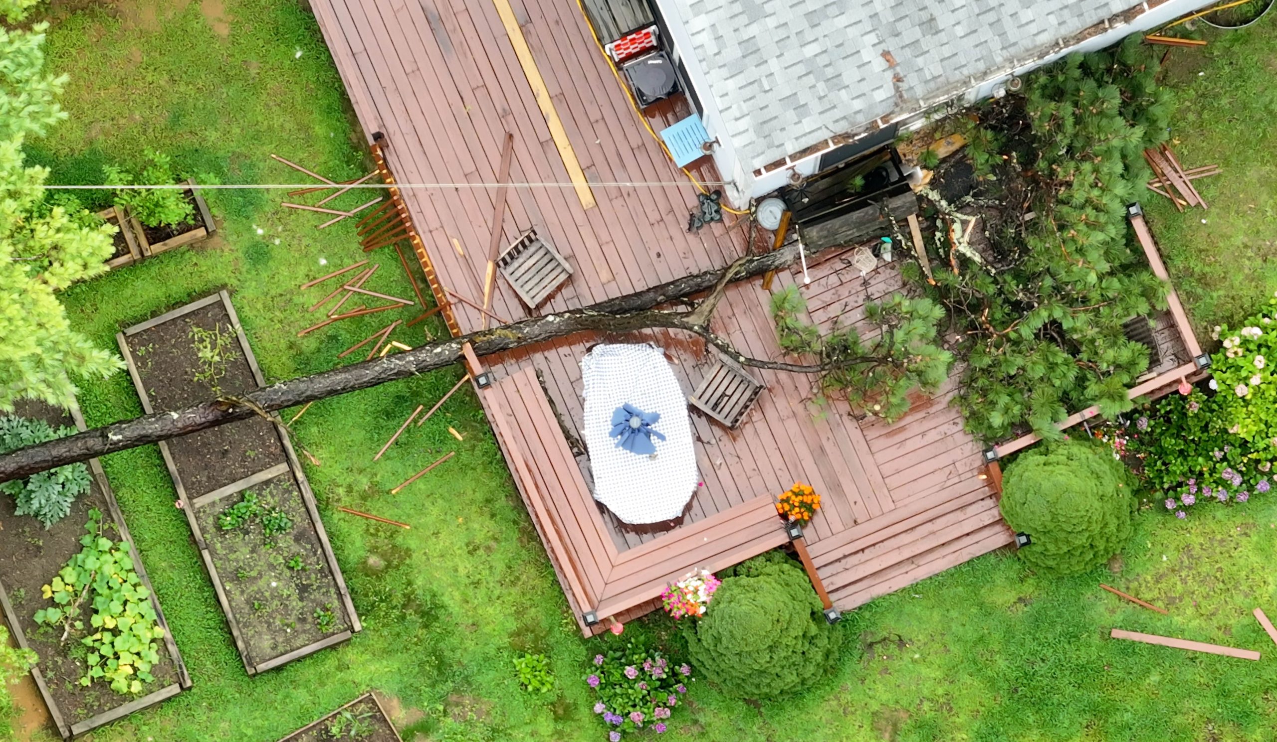 Plymouth woman, 61, dies after tree collapses on porch during Monday storm