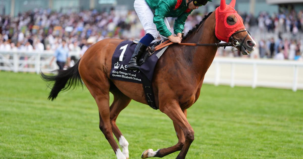 Calandagan withdrawn from York, rests for Japan Cup defense bid.