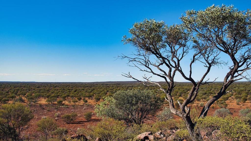 Capricorn Metals Expands Western Australian Gold Footprint with Piastri Project Acquisition