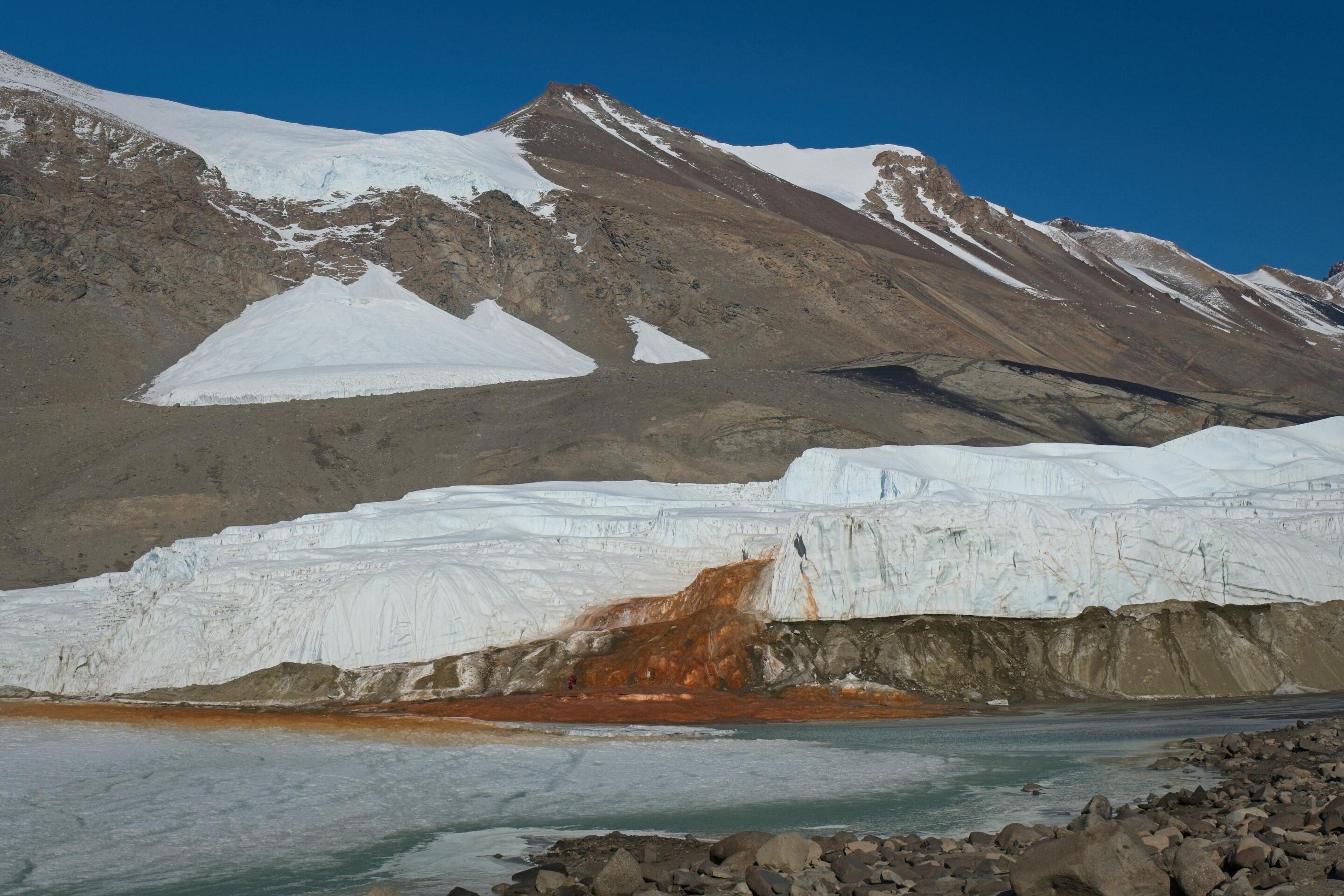 New Study Confirms Blood Falls Origin as Ancient Seawater, Reveals Trapped Marine Ecosystem