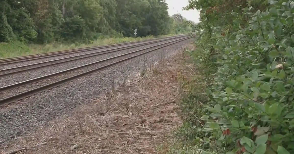 Teenager killed by GO transit train in Toronto after avoiding oncoming traffic