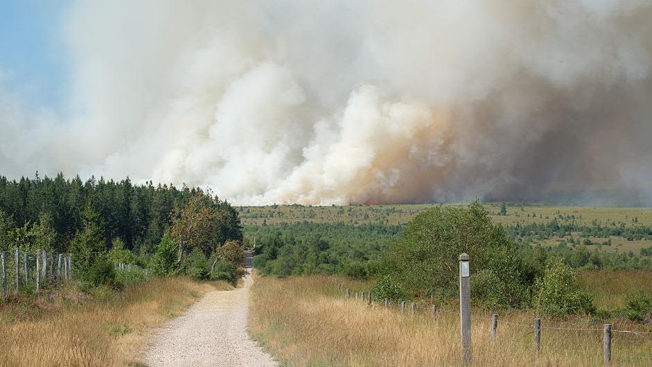 EU Deploys Resources to Belgium as Record Wildfire Forces Evacuations Amid Heatwave