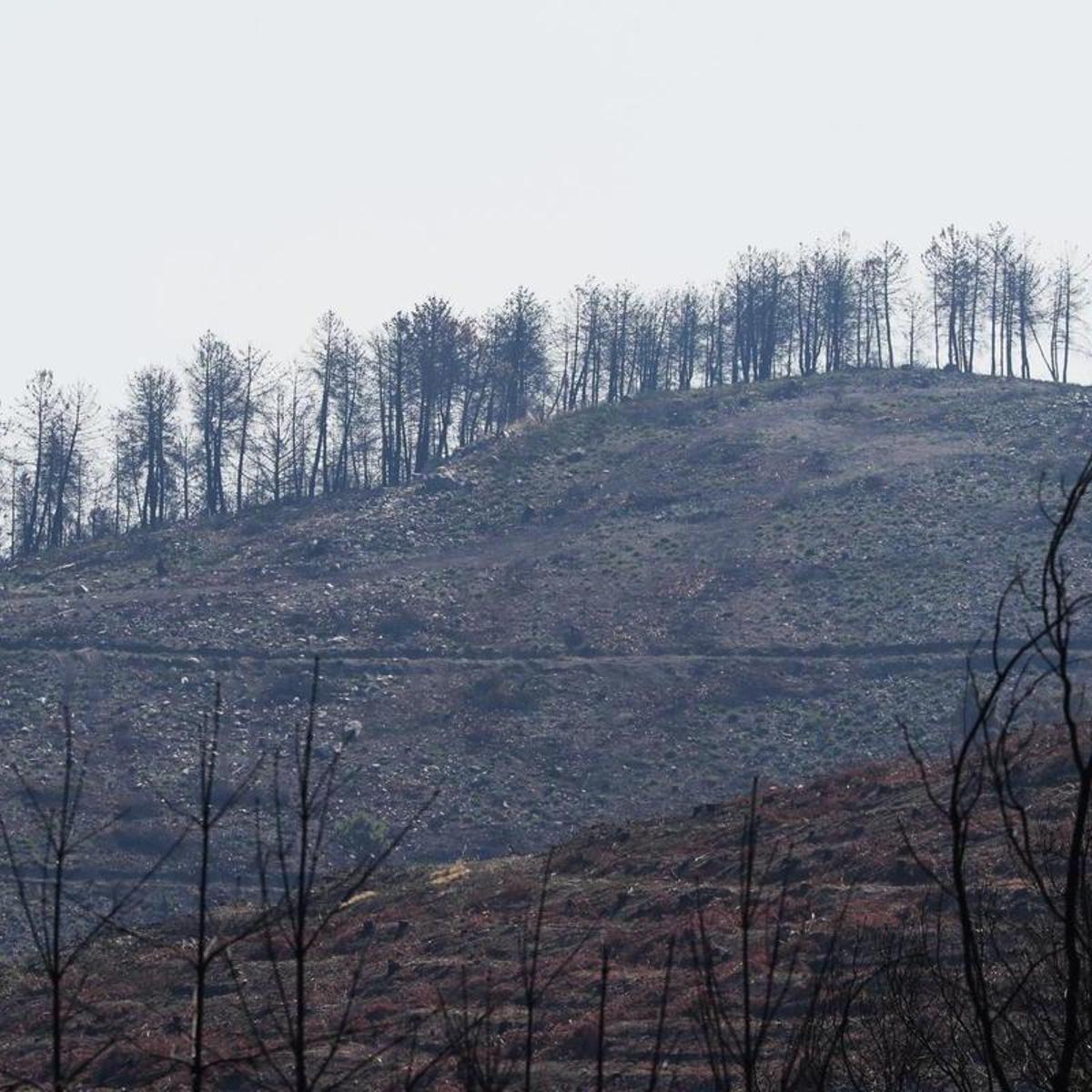 Improved Weather Aids Fire Extinction Across Spain as Castellón Blaze Remains Uncontrolled