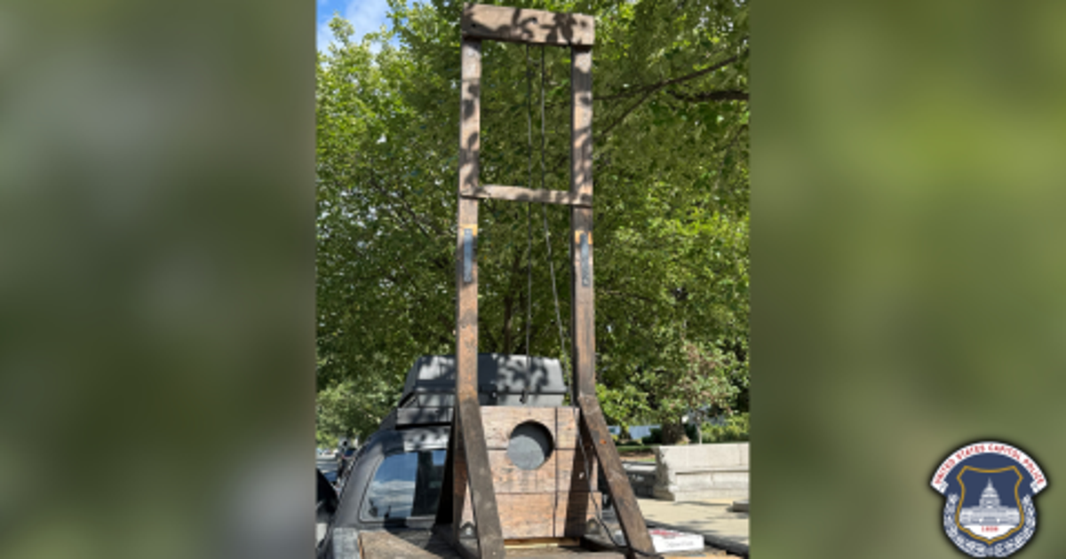 Police Arrest California Man Near U.S. Capitol After Finding Guillotine in Pickup