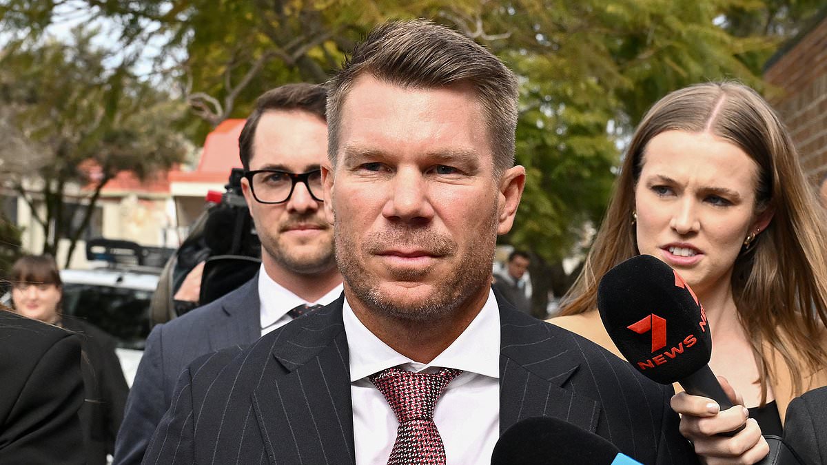 Cricketer David Warner Convicted, Fined for Drink-Driving; Faces Career Repercussions