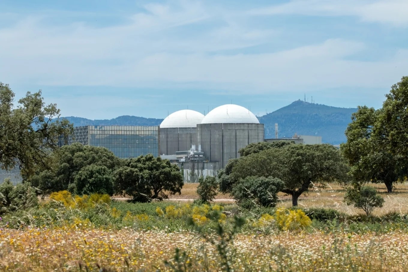 Spain Formally Extends Almaraz Nuclear Plant Operations to 2030 Amid Energy Security Needs