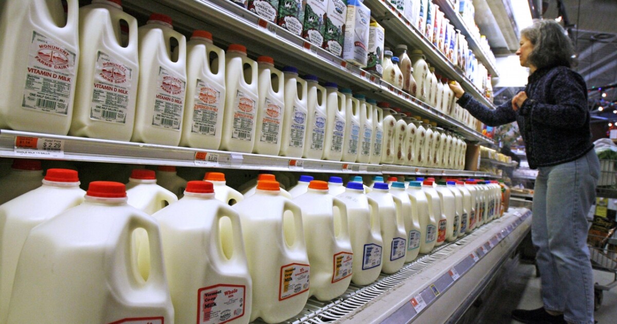 University of Toronto Study Reassesses Full-Fat Dairy: Healthier Than Previously Thought, Offers Key Benefits.