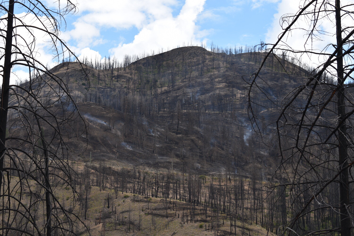 Okanagan Wildfires Escalate Amidst High Winds, Triggering Evacuations and Road Closures